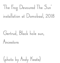 'The Frog Devoured The Sun' installation at Domobaal, 2018 Gertrud, Black hole sun, Ancestors (photo by Andy Keate) 