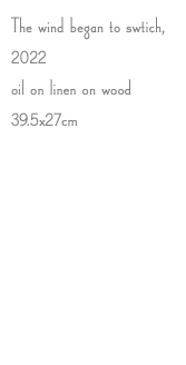The wind began to swtich, 2022 oil on linen on wood 39.5x27cm
