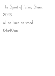 The Spirit of Falling Stars, 2023 oil on linen on wood 64x40cm