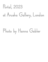 Portal, 2023 at Arusha Gallery, London Photo by Hanna Gabler 