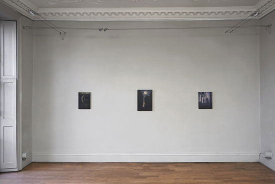 fiona finnegan, fiona, finnegan, art, artist, painting, painter, oil painting, contemporary painting, domobaal, witch