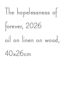 The hopelessness of forever, 2026 oil on linen on wood, 40x26cm