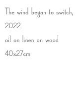The wind began to switch, 2022 oil on linen on wood 40x27cm